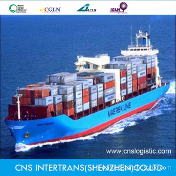 Unbeliveble Ocean Freight From China to Mexico